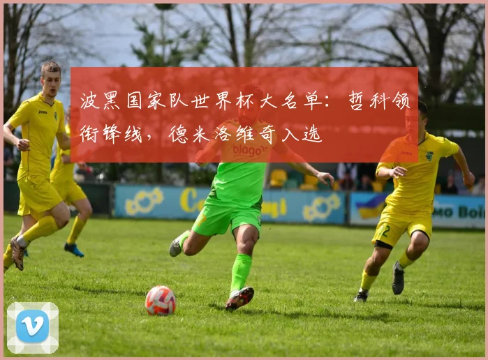 波黑国家队世界杯大名单：哲科领衔锋线，德米洛维奇入选