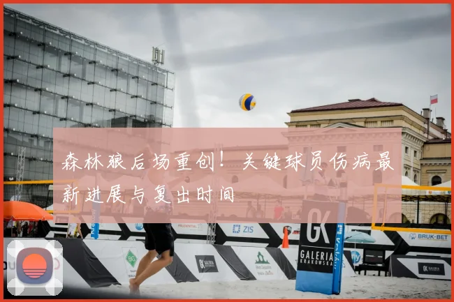 森林狼后场重创!关键球员伤病最新进展与复出时间